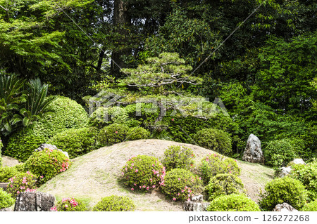 Ryutanji Temple Garden (Hamamatsu City) 126272268
