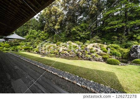 龍潭寺庭園（濱松市） 126272278