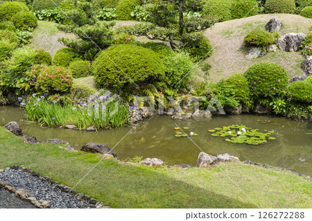 龍潭寺庭園（濱松市） 126272288