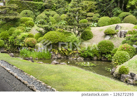 龍潭寺庭園(濱松市) 龍潭寺庭園(濱松市) 126272293