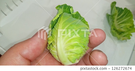 Peeled cabbage that did not grow 126272674