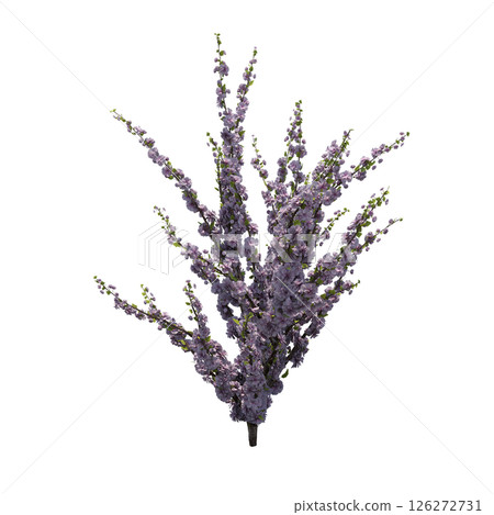 bush isolate on a transparent background, 3D illustration, cg render 126272731
