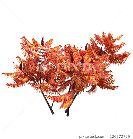 bush isolate on a transparent background, 3D illustration, cg render 126272739