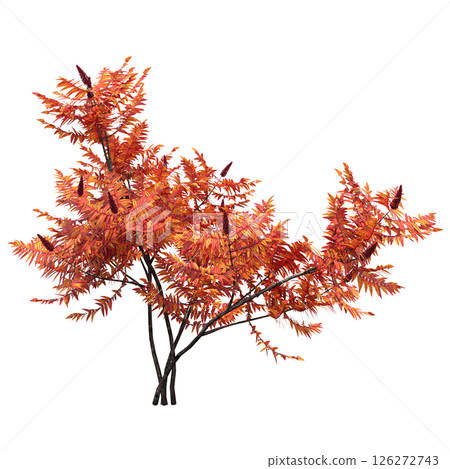bush isolate on a transparent background, 3D illustration, cg render 126272743