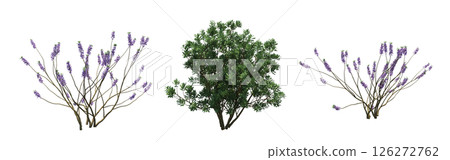 bush isolate on a transparent background, 3D illustration, cg render 126272762