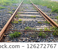 Rails on a railroad amidst urban areas and greenery 126272767