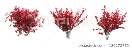 bush isolate on a transparent background, 3D illustration, cg render 126272773