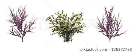 bush isolate on a transparent background, 3D illustration, cg render 126272788