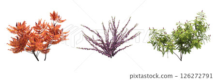 bush isolate on a transparent background, 3D illustration, cg render 126272791