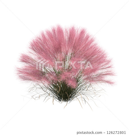 bush isolate on a transparent background, 3D illustration, cg render 126272801