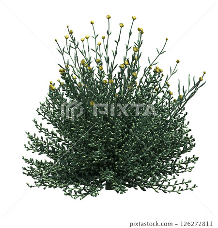 bush isolate on a transparent background, 3D illustration, cg render 126272811