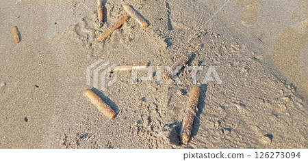 A scene from collecting mategai shells A scene from collecting mategai shells 126273094