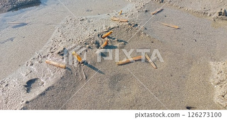 A scene from collecting mategai shells 126273100