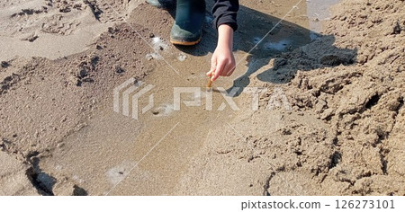 Children digging for shellfish Children digging for shellfish 126273101