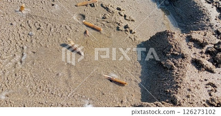 A scene from collecting mategai shells A scene from collecting mategai shells 126273102