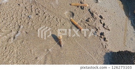 A scene from collecting mategai shells A scene from collecting mategai shells 126273103