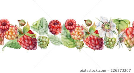 Raspberry ripe garden berries, leaves flowers in water dew drops hand drawn in watercolor. Seamless isolated banner garland. Home preserves, washi tape, food store decor, recipe book, dessert menu Raspberry ripe garden berries, leaves flowers in water dew drops hand drawn in watercolor. Seamless isolated banner garland. Home preserves, washi tape, food store decor, recipe book, dessert menu 126273207