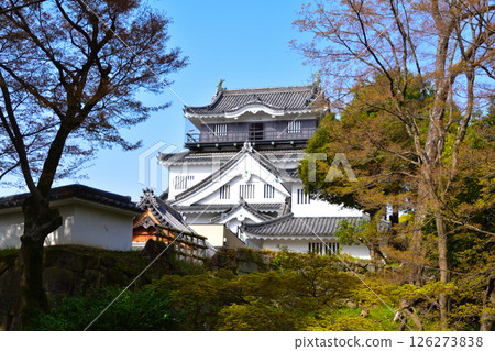 岡崎城 126273838
