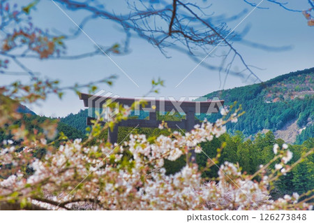 Kumano Hongu Taisha Shrine Large Torii Cherry Blossoms 126273848