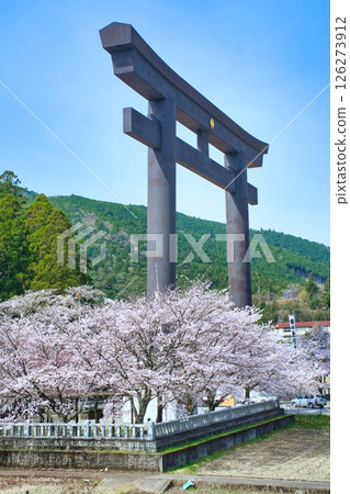 熊野本宮大社大鳥居櫻花 熊野本宮大社大鳥居櫻花 126273912