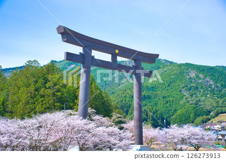Kumano Hongu Taisha Shrine Large Torii Cherry Blossoms 126273913