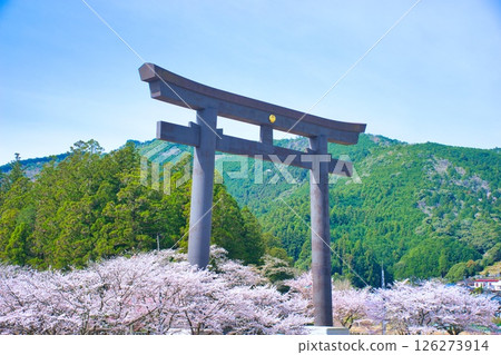 熊野本宮大社大鳥居櫻花 熊野本宮大社大鳥居櫻花 126273914