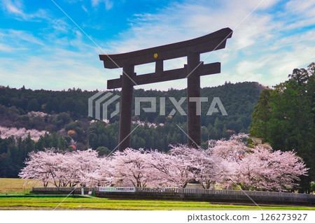 熊野本宮大社大鳥居櫻花 126273927