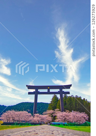 熊野本宮大社大鳥居櫻花 126273929