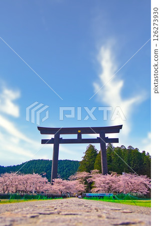Kumano Hongu Taisha Shrine Large Torii Cherry Blossoms 126273930