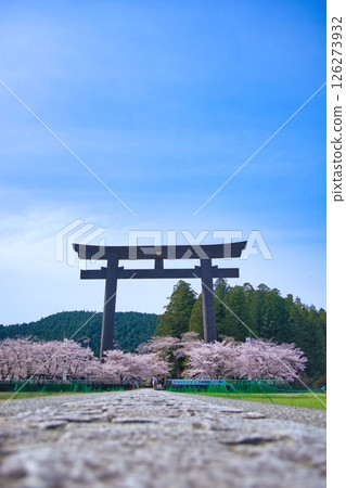 Kumano Hongu Taisha Shrine Large Torii Cherry Blossoms Kumano Hongu Taisha Shrine Large Torii Cherry Blossoms 126273932