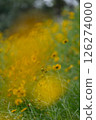 Vibrant yellow flowers sway gently in a sunlit field during a tranquil afternoon 126274000