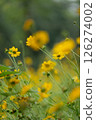 Vibrant yellow flowers sway gently in a sunlit field during a tranquil afternoon 126274002