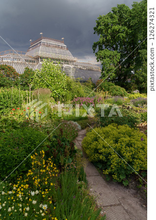 Tropical greenhouse, botanical garden. Territory of orangery with ornamental flowering plants 126274321