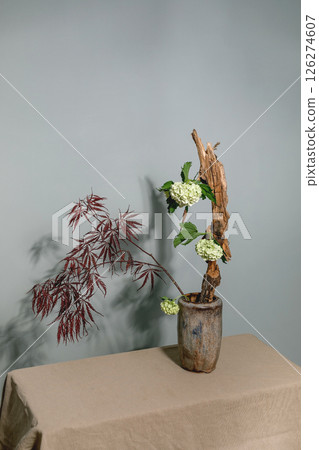 Traditional ikebana floral arrangement ceramic vase featuring red Japanese maple leaves white hydrangea flowers and driftwood on beige tablecloth against gray wall 126274607