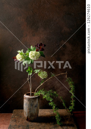 Artistic still life with ikebana white hydrangea flowers and pine branches in rustic ceramic vase against textured dark brown background. Natural composition on wooden table. 126274610