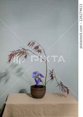 Elegant Japanese ikebana floral arrangement ceramic pot. Purple iris flower with dried branches neutral backdrop minimalist aesthetic wabisabi style. Elegant Japanese ikebana floral arrangement ceramic pot. Purple iris flower with dried branches neutral backdrop minimalist aesthetic wabisabi style. 126274613