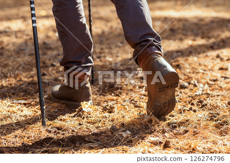 Close up of male legs walking by forest, using walking sticks, free space 126274796