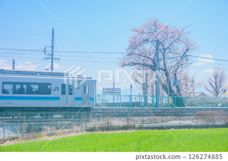[大糸線]春天中谷站[安曇野市] 126274885