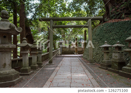 香川縣琴平町琴平神社 香川縣琴平町琴平神社 126275100