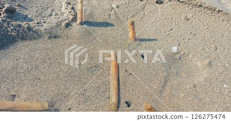A scene from collecting mategai shells A scene from collecting mategai shells 126275474