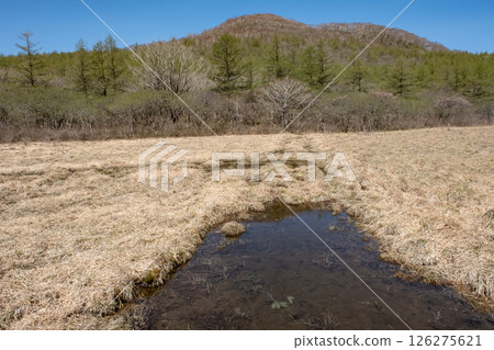 栃木縣那須高原沼原濕地的風景 126275621