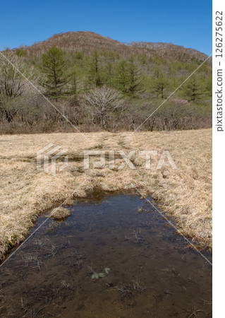 栃木縣那須高原沼原濕地的風景 126275622