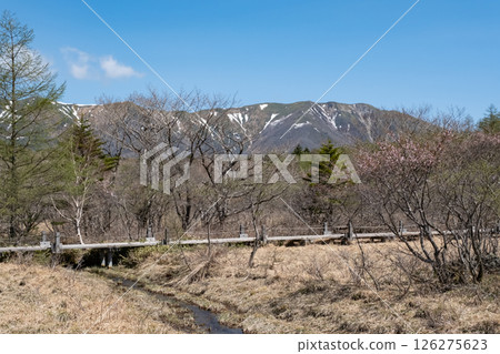 栃木縣那須高原沼原濕地木板路的風景 126275623