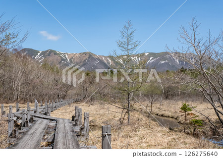 栃木縣那須高原沼原濕地木板路的風景 栃木縣那須高原沼原濕地木板路的風景 126275640