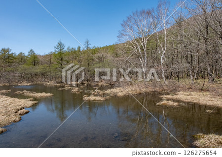 Scenery of the Numappara Marsh in Nasu Highlands, Tochigi Prefecture 126275654