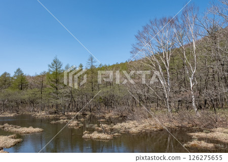 Scenery of the Numappara Marsh in Nasu Highlands, Tochigi Prefecture 126275655