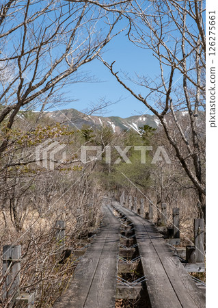 栃木縣那須高原沼原濕地木板路的風景 126275661