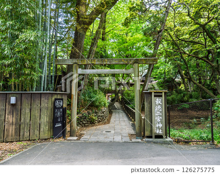 The entrance to Hotoku Ninomiya Shrine surrounded by fresh greenery (Odawara City, Kanagawa Prefecture) The entrance to Hotoku Ninomiya Shrine surrounded by fresh greenery (Odawara City, Kanagawa Prefecture) 126275775