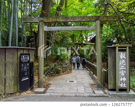 The entrance to Hotoku Ninomiya Shrine surrounded by fresh greenery (Odawara City, Kanagawa Prefecture) The entrance to Hotoku Ninomiya Shrine surrounded by fresh greenery (Odawara City, Kanagawa Prefecture) 126275777