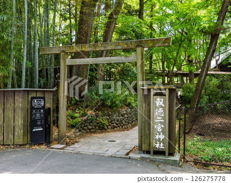 The entrance to Hotoku Ninomiya Shrine surrounded by fresh greenery (Odawara City, Kanagawa Prefecture) 126275778